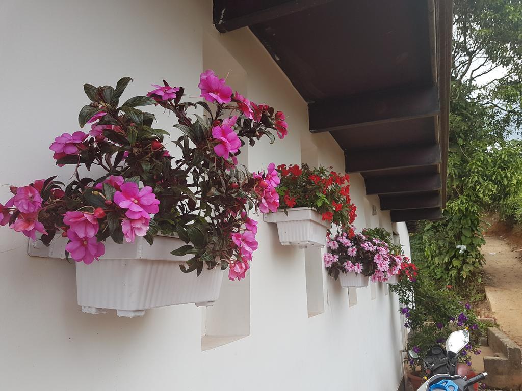 Gruenberg Tea Plantation Haus Bed & Breakfast Munnar Exterior photo
