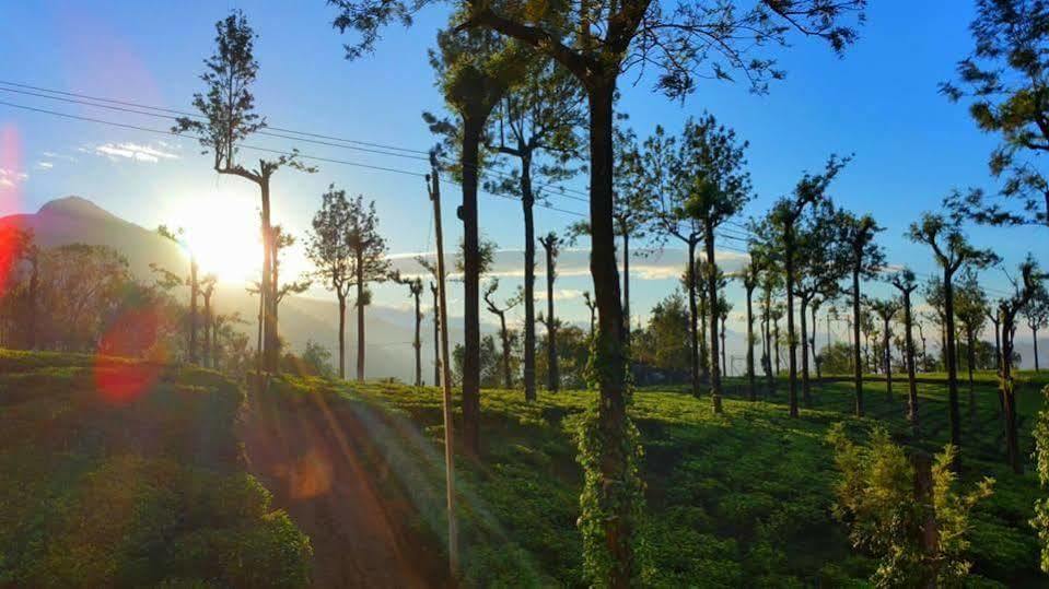 Gruenberg Tea Plantation Haus Bed & Breakfast Munnar Exterior photo