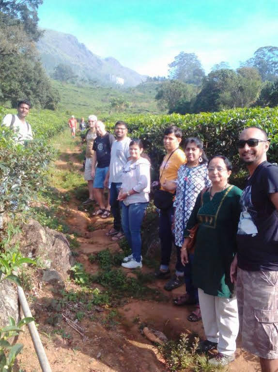 Gruenberg Tea Plantation Haus Bed & Breakfast Munnar Exterior photo