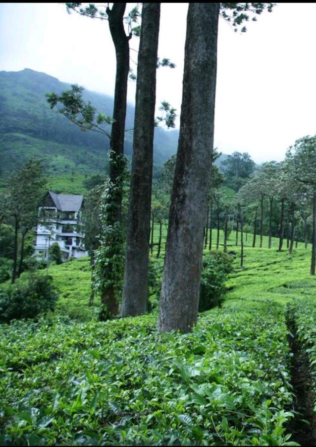 Gruenberg Tea Plantation Haus Bed & Breakfast Munnar Exterior photo