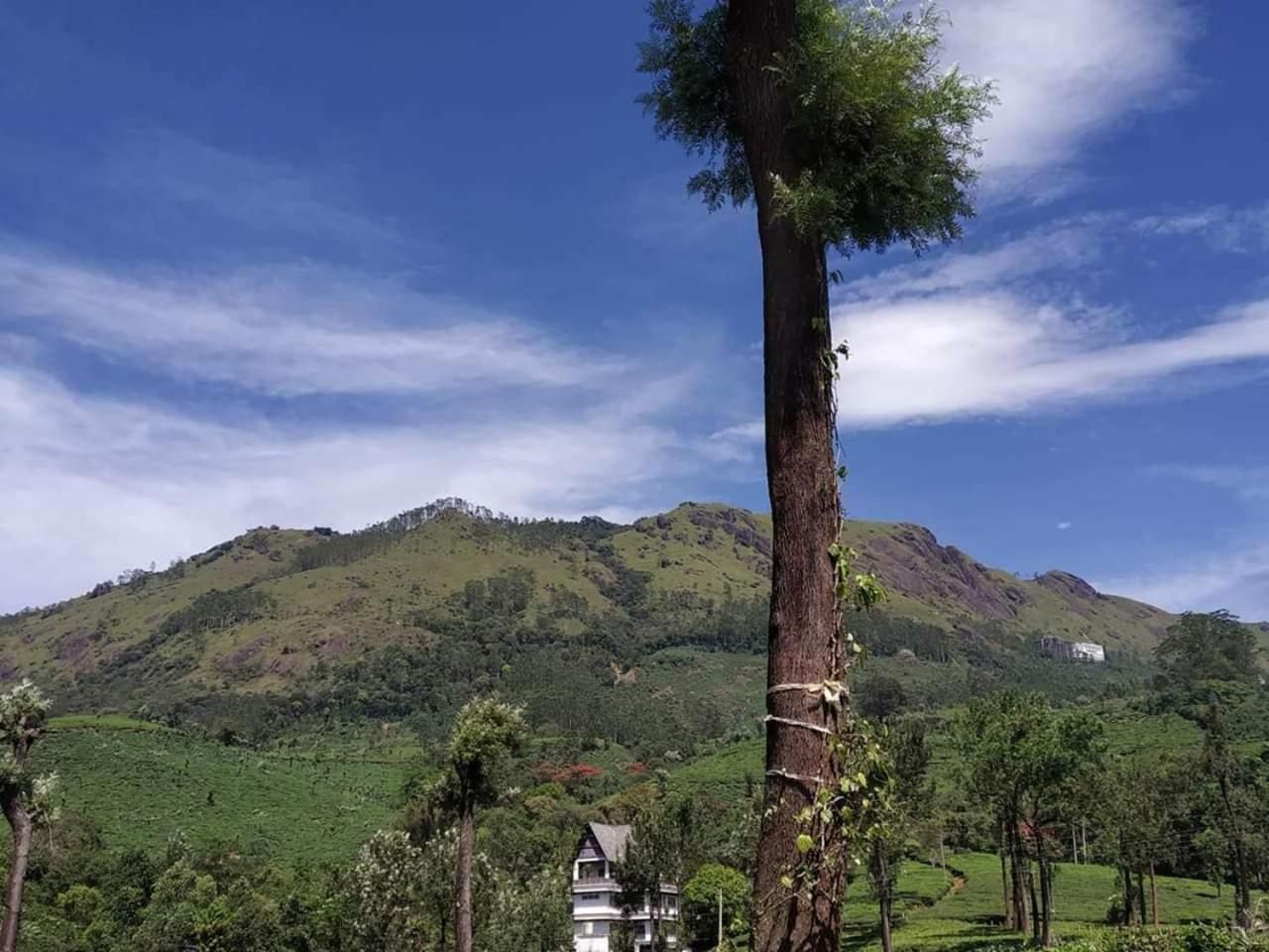 Gruenberg Tea Plantation Haus Bed & Breakfast Munnar Exterior photo